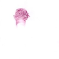pastel rose sur calque,nuque david, 21x29,7cm, 2008 MX 44 2